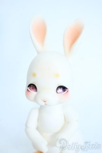 cocoriang/tobi Y-25-11-19-009-YD-ZY