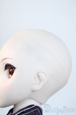 画像8: DDS/キャスター：スカサハ=スカディ（Fate/Grand Order） Y-25-11-12-008-YD-ZY