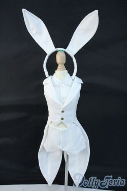 画像1: DD/OF:衣装セット Y-25-11-12-044-YD-ZY