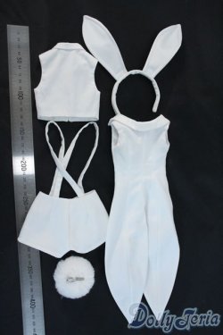 画像5: DD/OF:衣装セット Y-25-11-12-044-YD-ZY