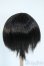 画像2: 8-9inch/ウィッグ Y-25-11-12-116-YD-ZY (2)