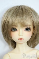 SDM/ダイ：スタンダードモデル Y-25-11-19-132-YD-ZY