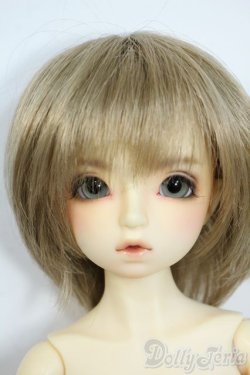 画像1: SDM/ダイ：スタンダードモデル Y-25-11-19-132-YD-ZY