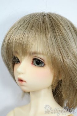 画像3: SDM/ダイ：スタンダードモデル Y-25-11-19-132-YD-ZY