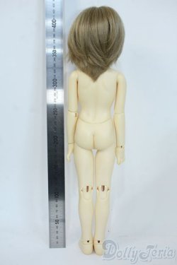 画像5: SDM/ダイ：スタンダードモデル Y-25-11-19-132-YD-ZY