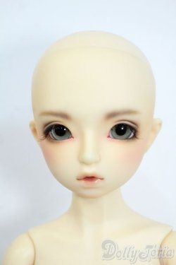 画像6: SDM/ダイ：スタンダードモデル Y-25-11-19-132-YD-ZY