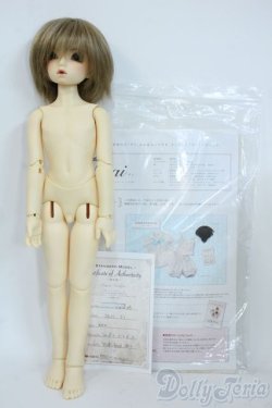 画像8: SDM/ダイ：スタンダードモデル Y-25-11-19-132-YD-ZY