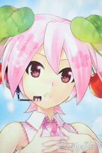 DD2.0/桜ミク2.0 Y-25-12-03-109-YD-ZY