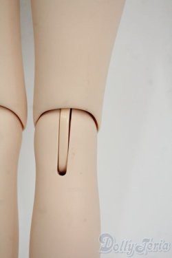 画像7: DD2.0/桜ミク2.0 Y-25-12-03-109-YD-ZY