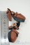 画像3: MDD/OF:Rosenliadoll様製 靴 Y-25-12-03-165-YD-ZY (3)