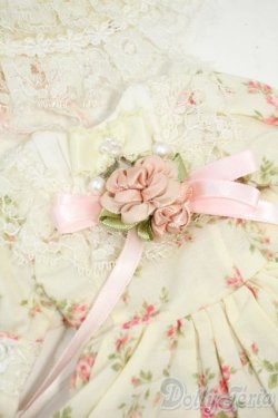 画像2: SDM＆MSD/OF:ワンピース Y-25-12-03-120-YD-ZY