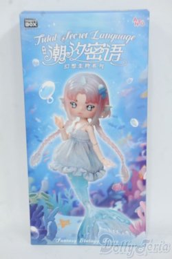 画像1: ANTU/潮の秘境 Y-25-12-10-114-YD-ZY