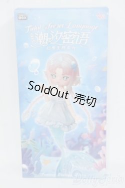 画像1: ANTU/潮の秘境 Y-25-12-10-114-YD-ZY