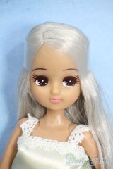 リカちゃん/フォトジェニックリカ　リリィ Y-25-12-17-031-YD-ZY