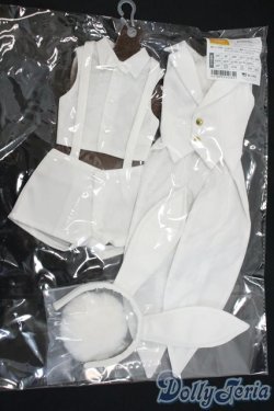 画像1: DDB/OF:ホワイトバニーセット　VOLKS Y-25-12-17-133-YD-ZY