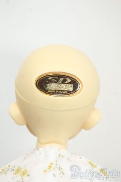 画像8: SDM女の子/クロエ Y-25-12-17-255-YD-ZY