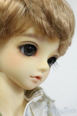 画像6: SDMBOY/F-31：コーディネートモデル Y-25-12-17-259-YD-ZY