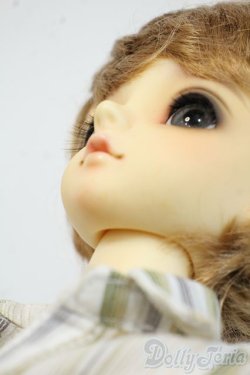 画像7: SDMBOY/F-31：コーディネートモデル Y-25-12-17-259-YD-ZY