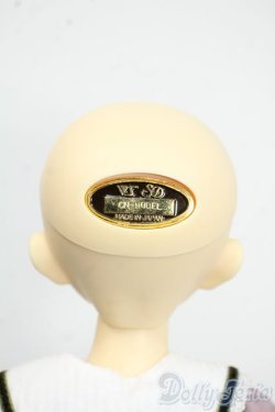 画像4: SDM女の子/F-61　コーディネートモデル Y-25-12-17-253-YD-ZY