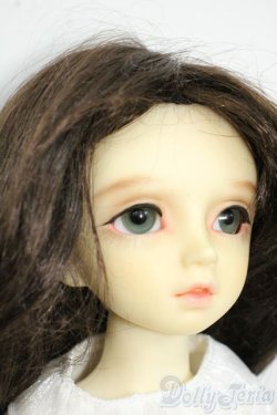 画像2: MSD/F-20ヘッド：フルチョイス Y-25-12-17-258-YD-ZY