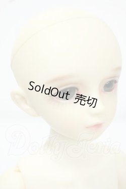 画像2: MSD/F-20ヘッド：フルチョイス Y-26-07-07-011-WT-ZY