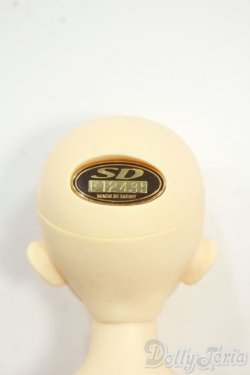 画像4: SDMBOY/フルチョイスF-38 Y-25-12-17-252-YD-ZY