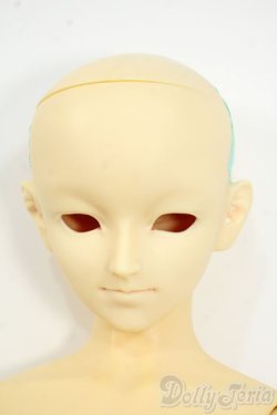 画像1: SD13BOY/フルチョイス:F-29 Y-25-12-17-261-YD-ZY