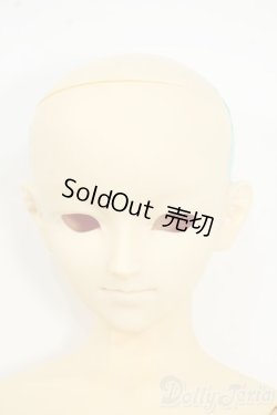 画像1: SD13BOY/フルチョイス:F-29 Y-25-12-17-261-YD-ZY