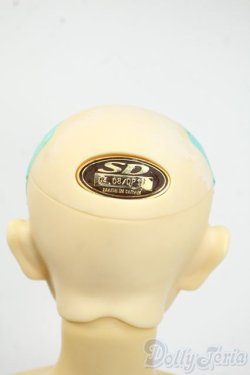 画像6: SD13BOY/フルチョイス:F-29 Y-25-12-17-261-YD-ZY