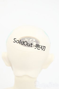 画像6: SD13BOY/フルチョイス:F-29 Y-25-12-17-261-YD-ZY