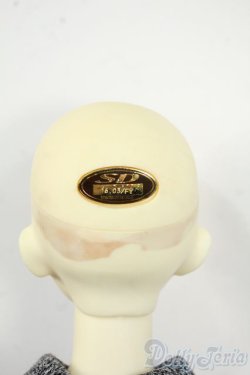 画像5: SDGrBOY/フルチョイス：F-34番ヘッド Y-25-12-17-256-YD-ZY