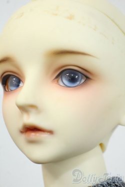 画像6: SDGrBOY/フルチョイス：F-34番ヘッド Y-25-12-17-256-YD-ZY