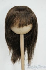 8-9inch/ウィッグ Y-25-12-17-248-YD-ZY