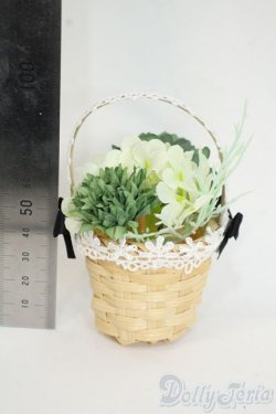 画像2: SDM＆MSD/OF:小物 Y-25-12-24-209-YD-ZY