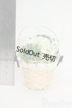 画像2: SDM＆MSD/OF:小物 Y-25-12-24-209-YD-ZY