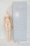 画像3: IMOMODOLL/1/4/Girlボディ Y-25-12-24-031-YD-ZY (3)