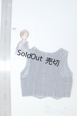 画像2: SD/OF:VOLKS製 ベスト Y-26-01-04-249-YD-ZY