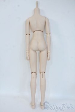 画像2: DDB/ベースボディ Y-26-01-04-399-YB-ZY