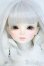 画像1: MYOUDOLL/Snow Delia 2020 ver. Y-26-01-04-400-YD-ZY (1)