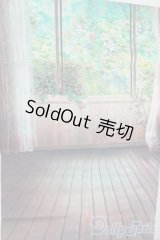 SD/背景布 Y-26-01-07-125-YD-ZY