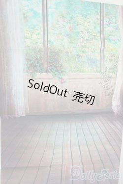 画像1: SD/背景布 Y-26-01-07-125-YD-ZY