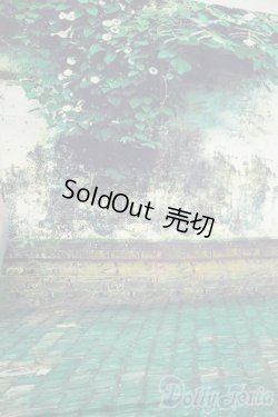 画像1: SD/背景布 Y-26-01-07-127-YD-ZY