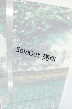 画像2: SD/背景布 Y-26-01-07-127-YD-ZY