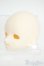 画像3: 菜語DOLL/1/4ノーメイクヘッド Y-26-01-07-120-YD-ZY (3)