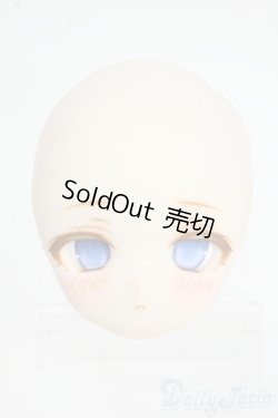 画像1: DD/DDH-01(船長様製)カスタムヘッド Y-26-01-14-003-YD-ZY