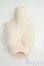画像1: DDS/DDS-B-01-SW 上半身パーツ-M胸 セミホワイト Y-26-01-14-126-YD-ZY (1)