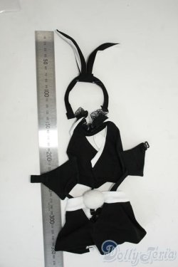 画像4: DD/OF:衣装セット Y-26-01-14-195-YD-ZY