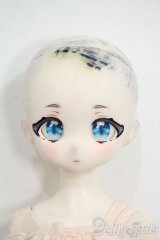 TinyFOX/Fluffy Y-26-01-14-184-YD-ZY