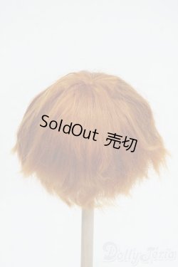 画像2: 8-9inch/ウィッグ Y-26-01-14-206-YD-ZY