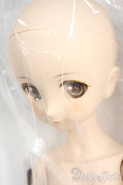 画像4: MDDもちあし/博麗霊夢(東方Project) Y-26-01-21-005-YD-ZY